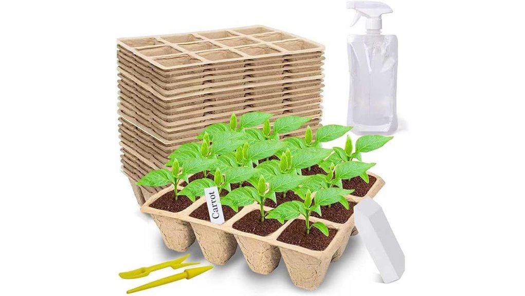 biodegradable seed starter kit