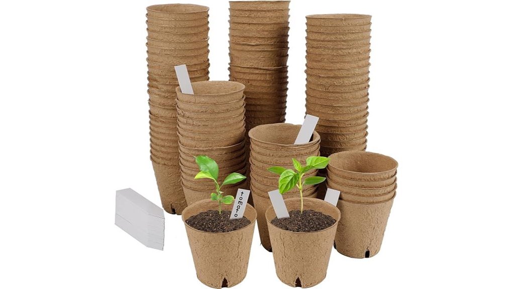 biodegradable seed starter kit
