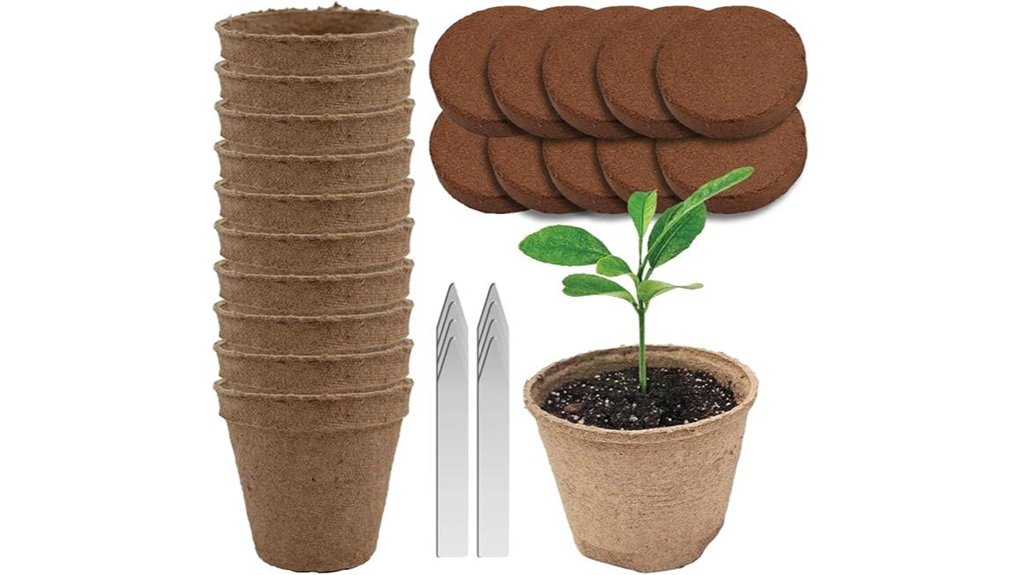 biodegradable seedling starter kit