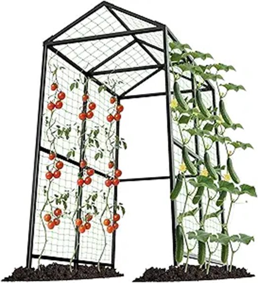 garden arch for climbing