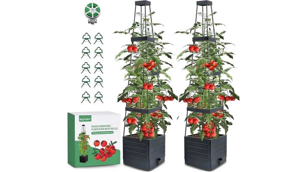 garden bed with trellis