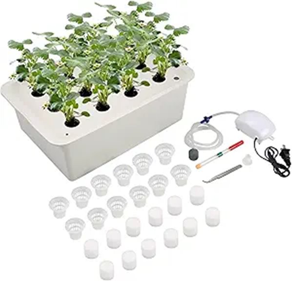 hydroponic kit with pump