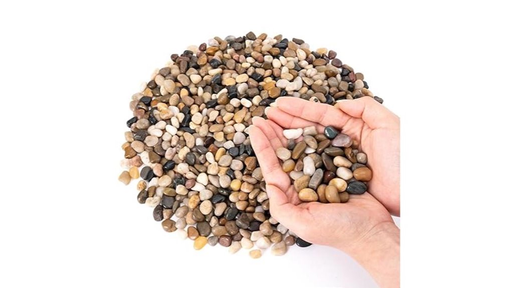 indoor plant decorative pebbles