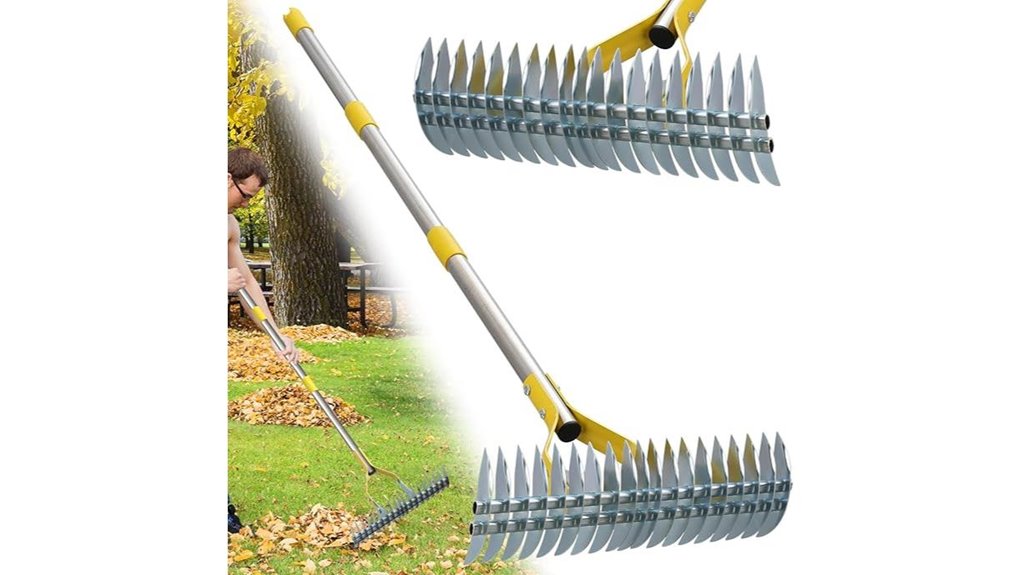 lawn care thatch removal tool