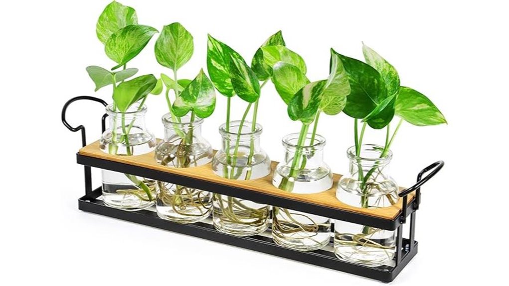 plant propagation metal stand