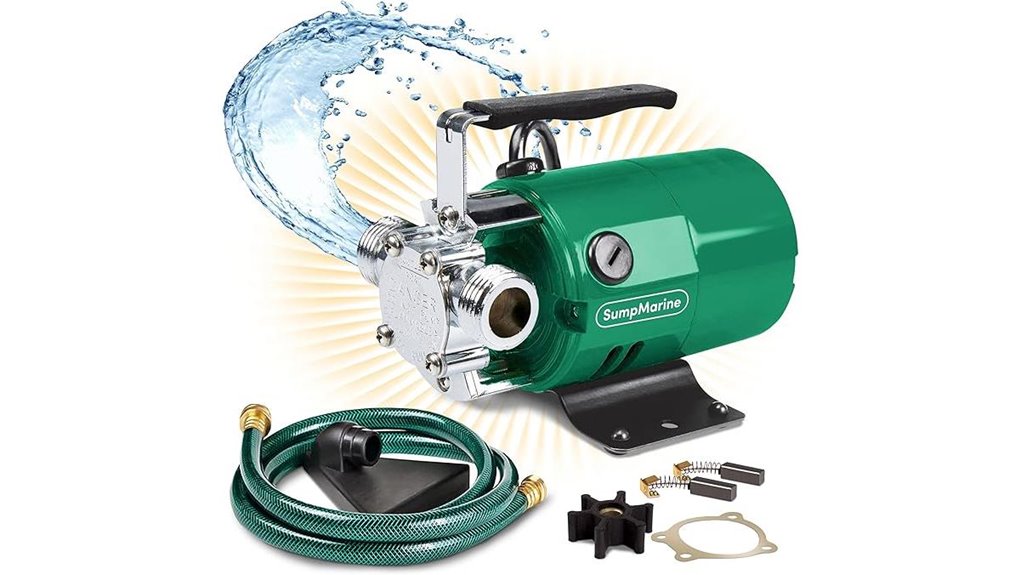 portable electric water pump