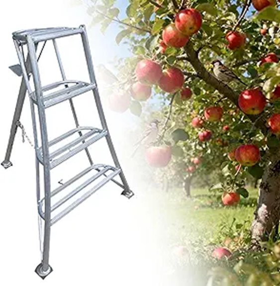 safety ladder for apples