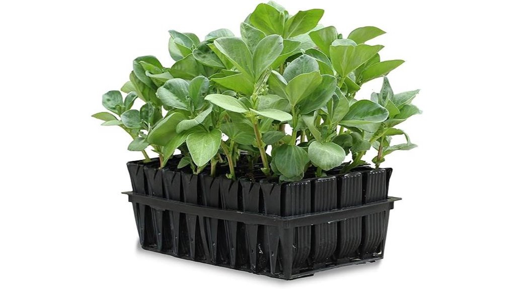 seed and cutting kit