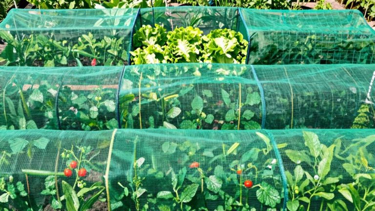 top animal resistant garden nets