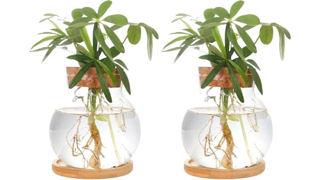 wooden hydroponic plant station