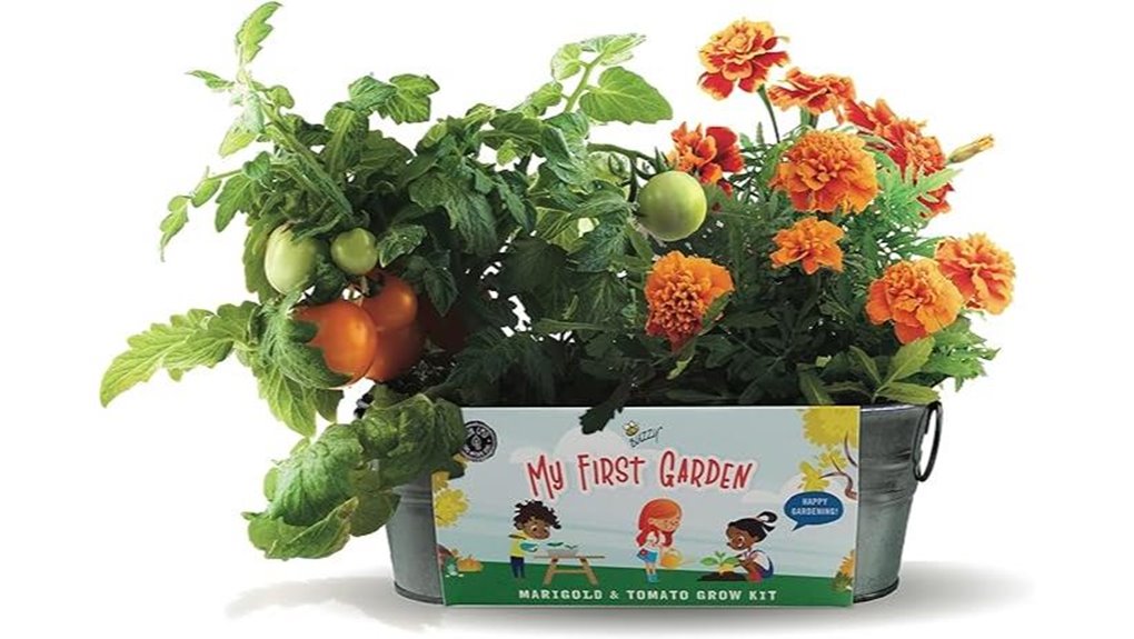 beginner friendly windowsill gardening kit