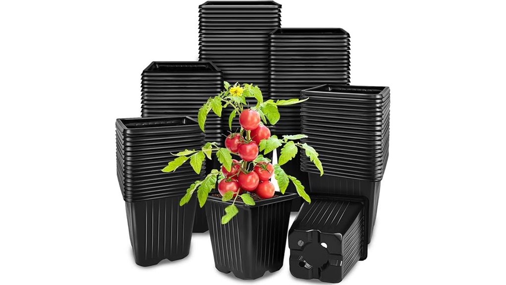 black square nursery pots
