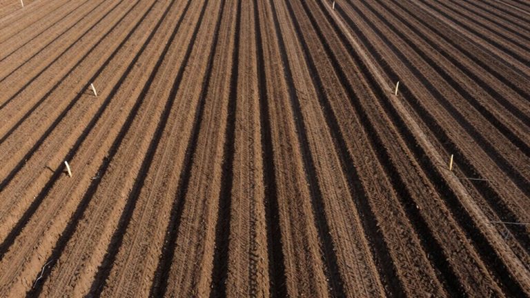building basic crop rows