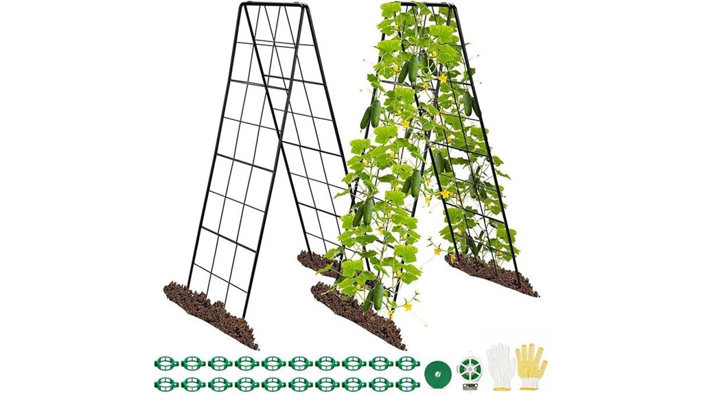 climbing plants support structure