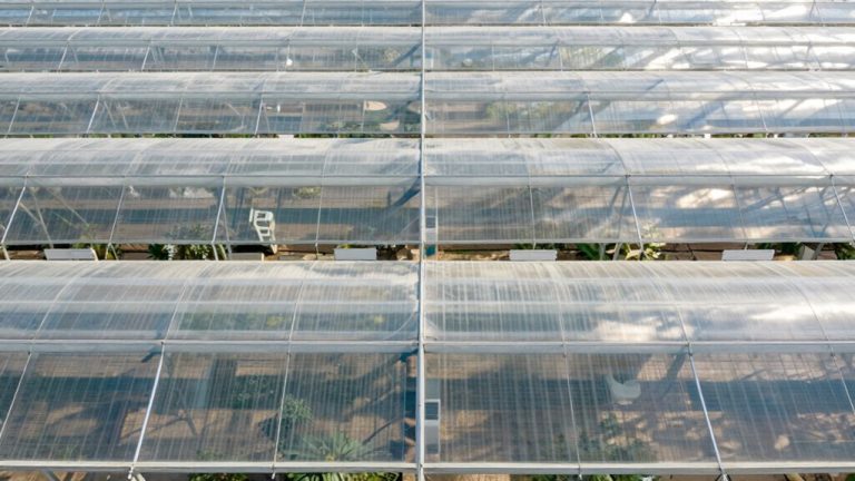 effective shade cloth usage
