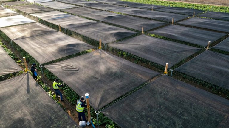 installing shade netting properly