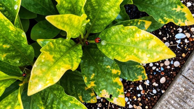 natural plant disease prevention