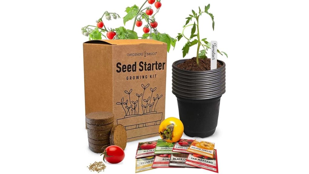non gmo heirloom tomato seeds