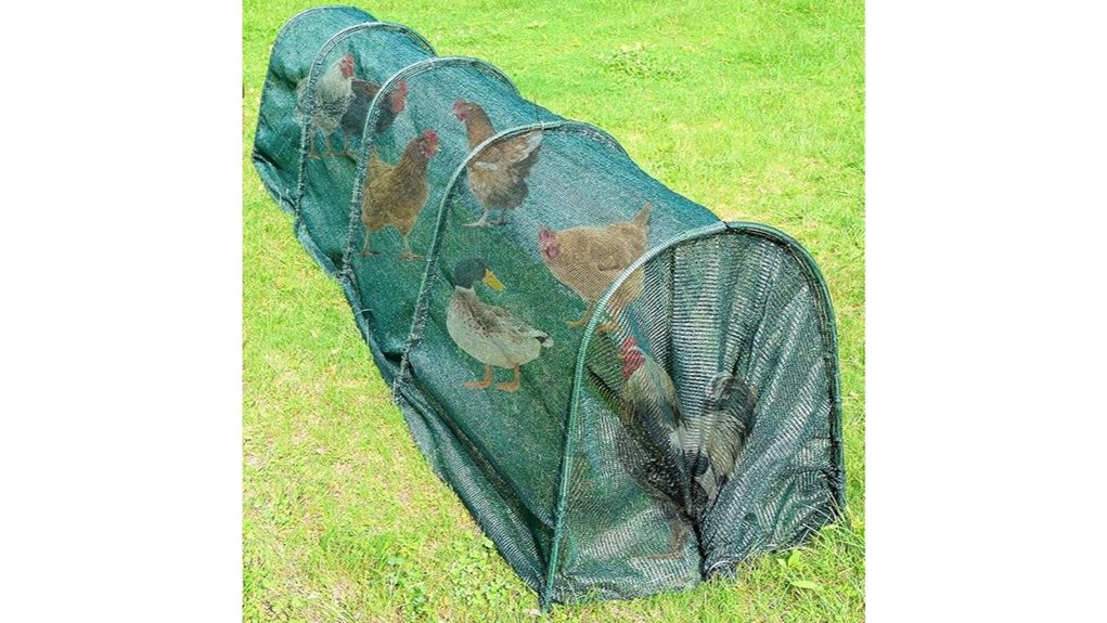 outdoor chicken tunnel system