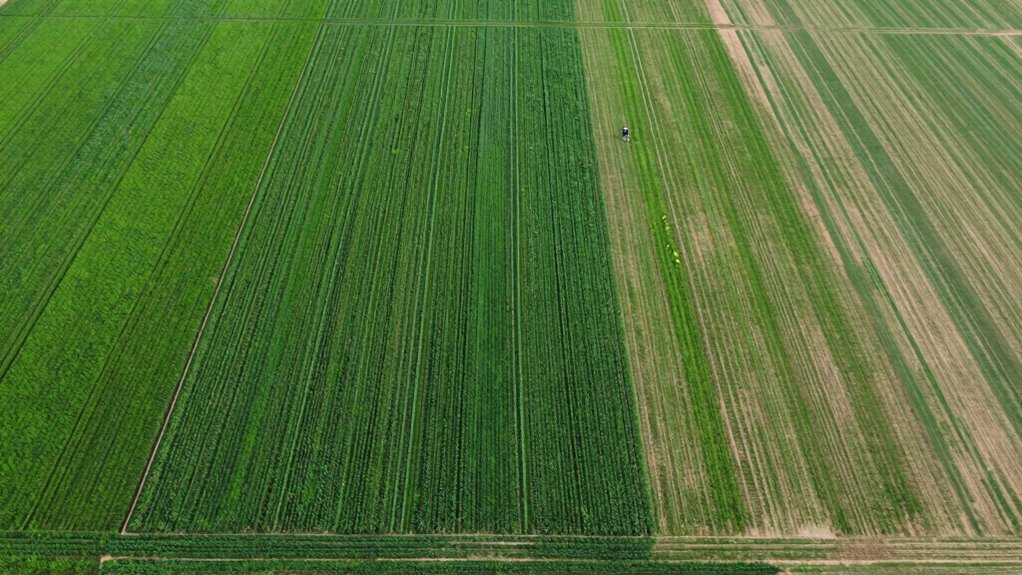 soil testing for optimal fertilizer