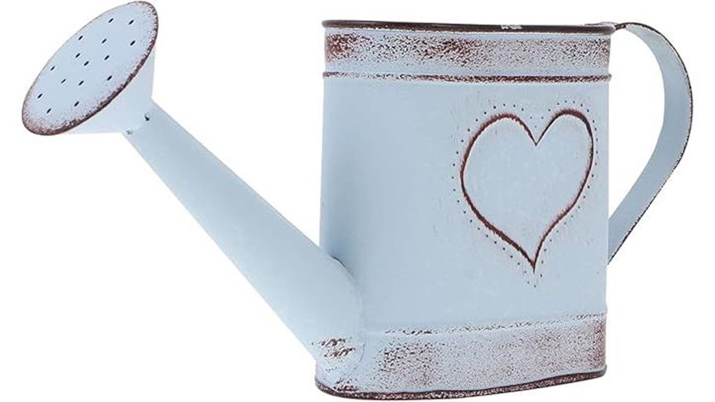 stylish metal watering can